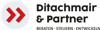 https://www.hclinz.at/wp-content/uploads/2024/05/Ditachmair_logo_sphere_illu-320x98.png