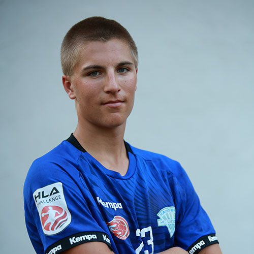 https://www.hclinz.at/wp-content/uploads/2024/09/Strauch-Tore-4.jpg
