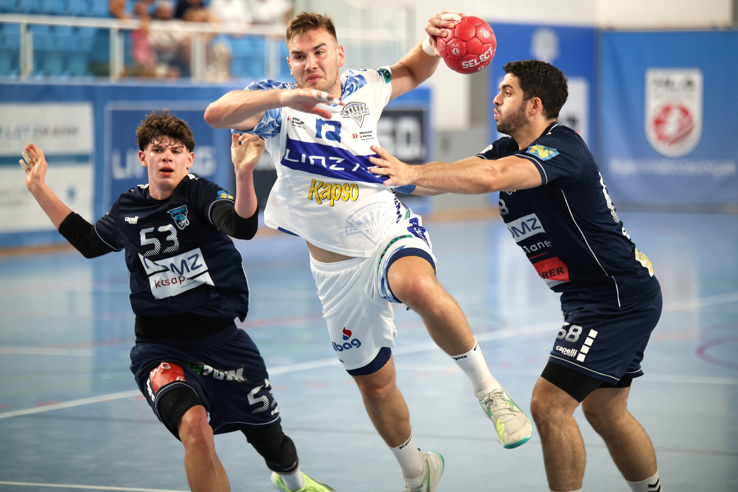 Petrovic-Pavle-(6)